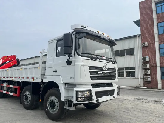 Factory Supply New Energy Vehicle with Electric Garbage Truck for Sale