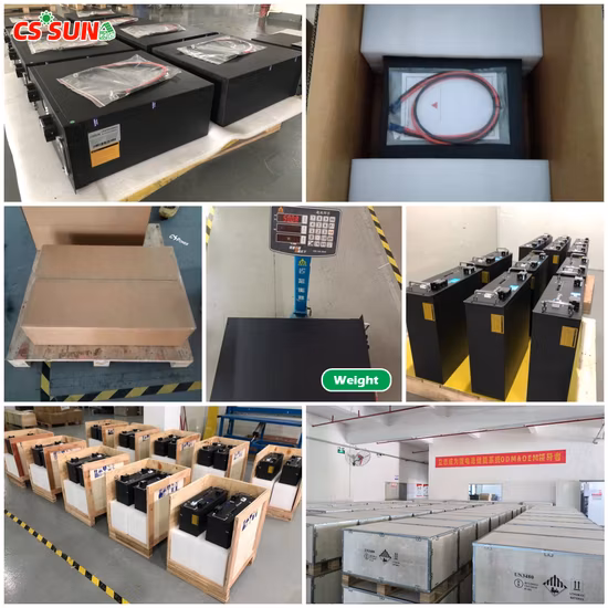 48V 50ah 100ah LiFePO4/Li