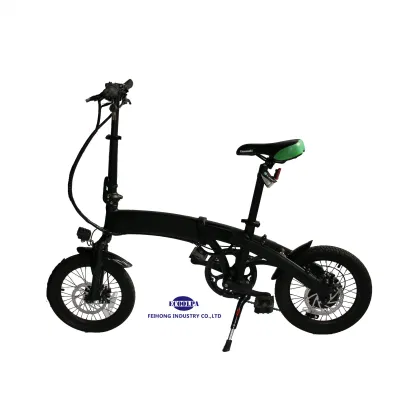 Veículo elétrico da motocicleta da bicicleta da bicicleta elétrica da montanha de 20 polegadas que guarda dois
